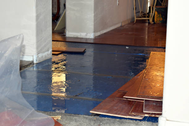 Professional Burst Pipe Cleanup technician working in Mexico, ME